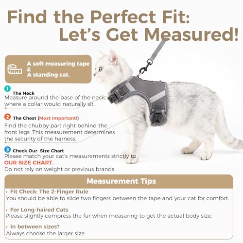 pangdi Cat Harness and Leash Escape Proof Kitten Harness Cat Leash for Walking Travel Service Cat Vest, Grey, X-Large