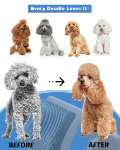 Petqueen Dog Slicker Brush for Large Dogs, Professional Doodles Brush for Poodles, Goldendoodles and Labradoodles - Easy t...