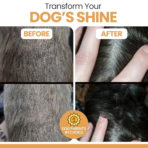 Omega 3 Fish Oil for Dogs - 180 Soft Chews for Itch Relief, Shedding & Hot Spots - Skin and Coat Supplement - Salmon Oil, ...