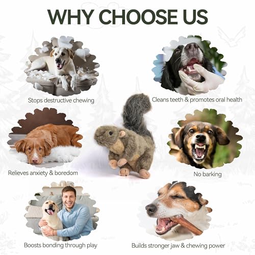 ALL FOR PAWS Classic Squirrel Pet Toys, Small