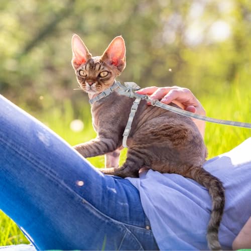 TIESOME Cat Harness and Leash Set, Adjustable Gradient Kitten Harness Escape Proof Harness with Leash for Kitty Outdoor Wa...