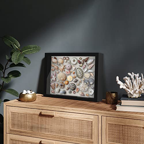Americanflat 11x14 Shadow Box Frame with Shatter-Resistant Glass - Silhouette Collection - Large Shadow Box Display Case f...