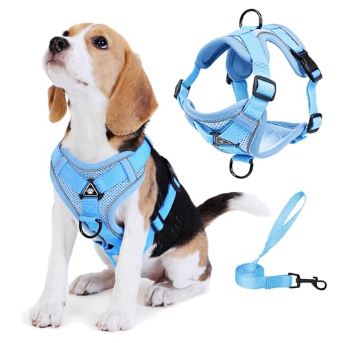 Jolifield No Pull Dog Harness with Leash Set for Small Sized Dog, Reflective Adjustable No Choke Front Clip Cat Vest Harne...