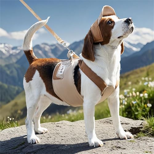 ETOSEM Dog Harness with Hat Set, Blue Gingham Pattern, Adjustable Safety Buckle and Leash Attachment (Brown, Large(8-12lb))