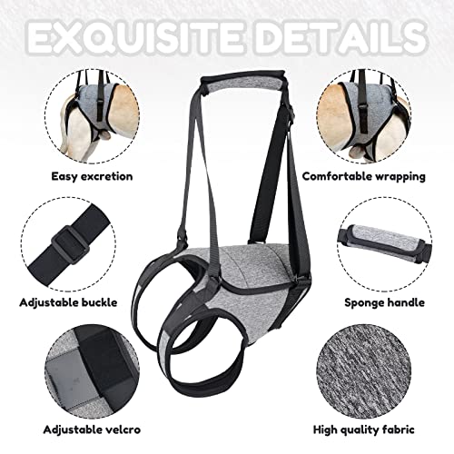 Dog Lift Harness, TORJOY Dog Sling for Small Medium Large Dogs, Dog Support Harness for Back Legs, Adjustable Soft Padded ...