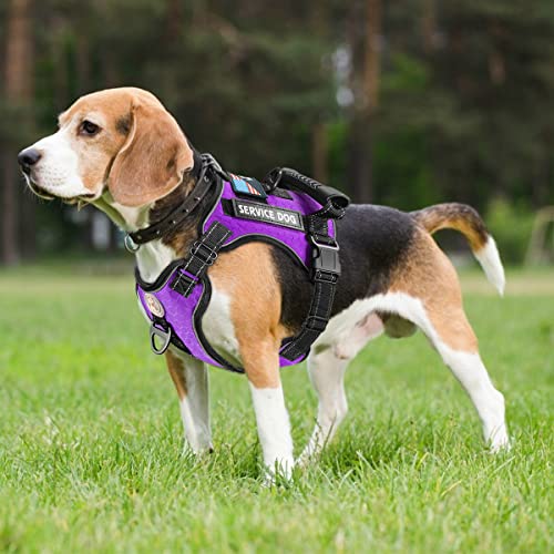 Cymiler Service Dog Vest,No-Pull Dog Harness and Leash Set,Adjustable Oxford Reflective Service Dog Vest Harness with Hand...