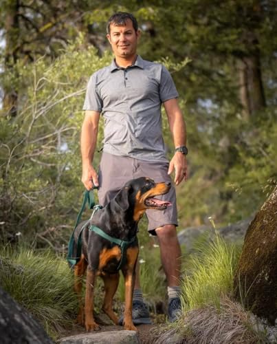 Blueberry Pet Essentials Dog Harness and Leash Set - Large Orange Vermilion Dog Collar and Leash Set for Eco-Conscious Own...