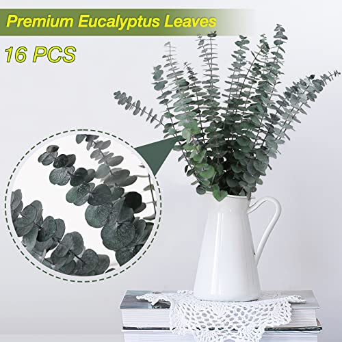 16 Pcs Preserved-Dried-Eucalyptus-Branches,17" Real Natural Fresh Eucalyptus Plant for Shower, Real Eucalyptus Bunch for V...