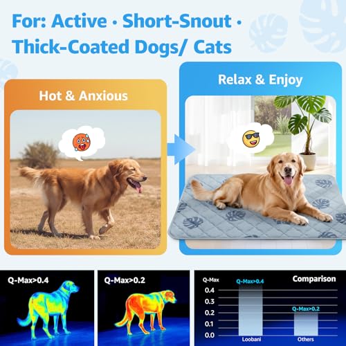 LOOBANI Dog Cooling Mat for Large Dogs - 56"x36" Pet Cooling Mat with Anti-Slip Bottom, Waterproof Self-Cooling Dog Pad fo...