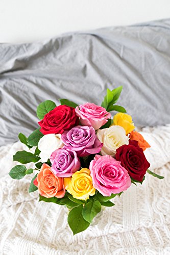From You Flowers - One Dozen Rainbow Roses with Glass Vase | Fresh Flower Bouquets for Birthday, Anniversary, Get Well or ...