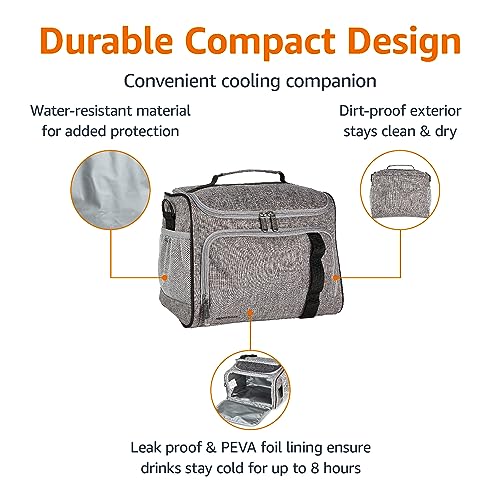 Amazon Basics Soft Insulated Cooler