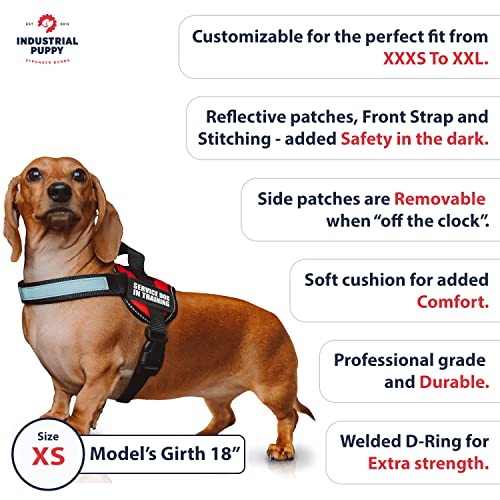 Industrial Puppy Service Dog In Training Vest With Hook and Loop Straps and Handle - Harnesses In Sizes From XXS to XXL - ...