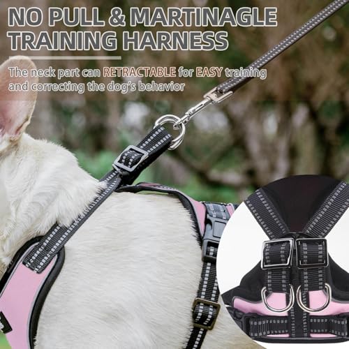 PUPTECK Dog Harness and Leash Set Medium Sized, Adjustable Reflective Escape Proof Puppy Vest, No Pull Walking Harness Eas...