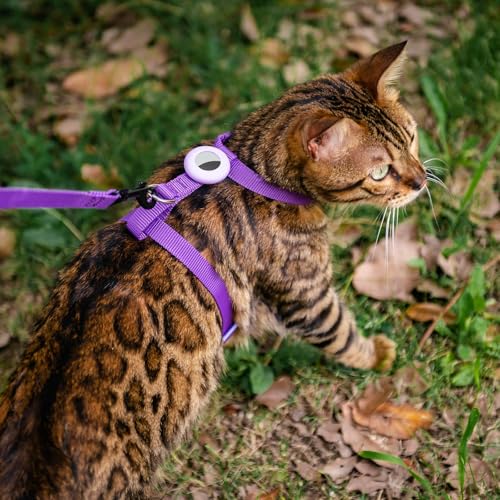 VKPETFR Cat Harness and Leash Set with Airtag Holder for Walking & Travelling, Escape Proof Cat Harness for Small Medium L...