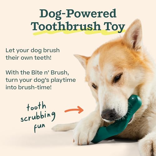 WOOF - Bite n' Brush Refills Treats for the Dog Toothbrush Toy - Scrub Plaque and Tartar from Your Dog's Teeth and Mouth -...
