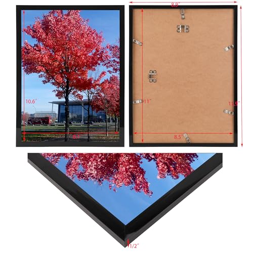 Medog 8.5x11 Picture Frame in Black,Document Certificate Frames, Display Pictures 8.5x11 Picture Frame, 1 Pack
