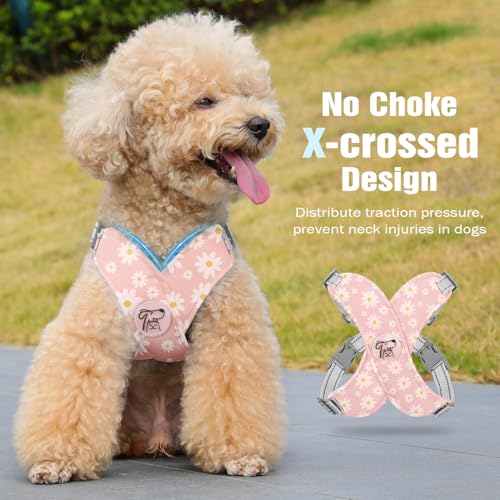 Pawaboo Small Dog Harness and Leash Set, Puppy Harness X-Frame No Pull No Choke, Dog Vest Harness Adjustable for Small Med...