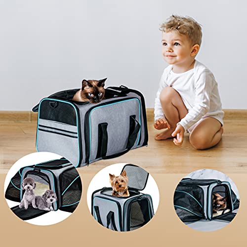 Cat Dog Carrier - Airline Approved Expandable Soft-Sided Pet Carrier with Removable Fleece Pad and Pockets, for Cats/Puppy...