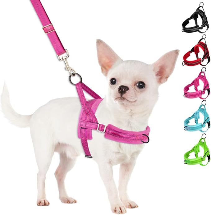 SlowTon No Pull Small Dog Harness and Leash Set, Puppy Soft Vest Harness Neck & Chest Adjustable, Reflective Lightweight H...