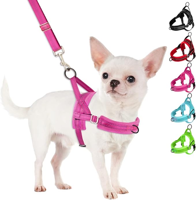 SlowTon No Pull Small Dog Harness and Leash Set, Puppy Soft Vest Harness Neck & Chest Adjustable, Reflective Lightweight H...