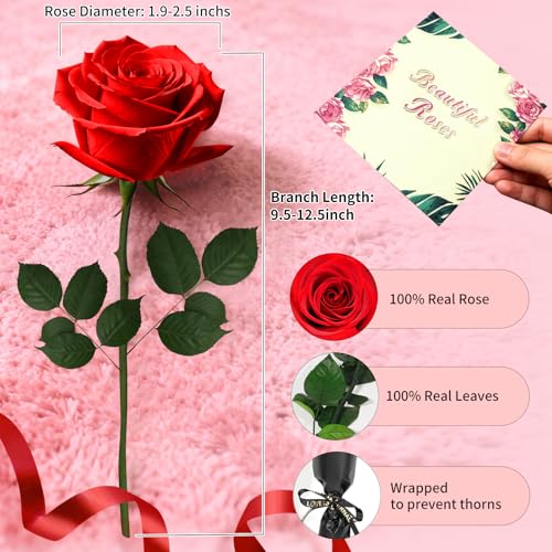 Leebean Single Forever Roses Luxury Gift for Women/Men, Birthday Gifts for Women,Flowers Gifts for Girlfriend,Wife,Mom,Ann...