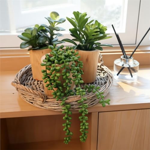 VINSUNI Artificial Succulents with Pots - Set of 3 Small Fake Plants for Aesthetic Room Decor - Realistic Mini Faux Greene...
