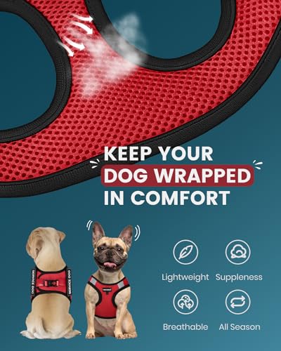 FAYOGOO Service Dog Vest for Small Dogs - Lightweight Dog Harness with 6PCS Removable Patches - Puppy Harness and Leash Se...