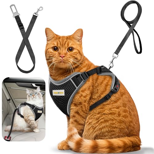 MingXpets Cat Harness and Leash for Walking, Retractable Cat Harnesses and Leash Set Escape Proof, Breathable Soft Kitten ...
