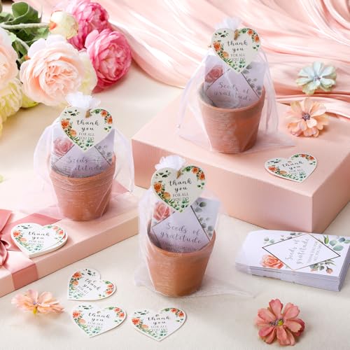 Ctosree 24 Sets Teacher Appreciation Gifts Thank You for All You Do Seed Packets Include Seed Packets Flowerpot Thanks Tag...