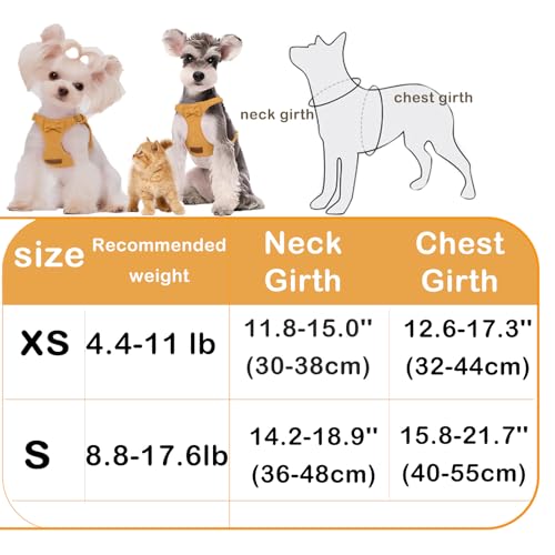 Vinqki Cute Small Dog Harness and Leash Puppy Set with Bowtie,Step in Dog Harnesses,Soft Adjustable Cat & Dog Vest,Harness...
