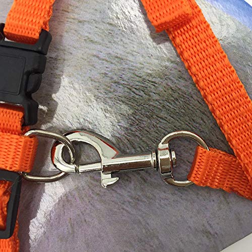 GOZOLA 2 Pack Cat Harness and Leash | Adjustable Halter Harness with Nylon Strap, Safety Rope Leads for Kittens | Orange &...