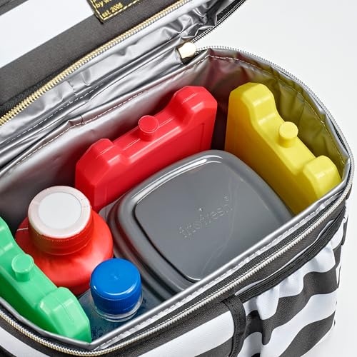 Cool Coolers by Fit + Fresh, 5 Pack Days of the Week Ice Blocks, Compact Reusable Ice Packs for Lunch Boxes & Coolers, Mul...