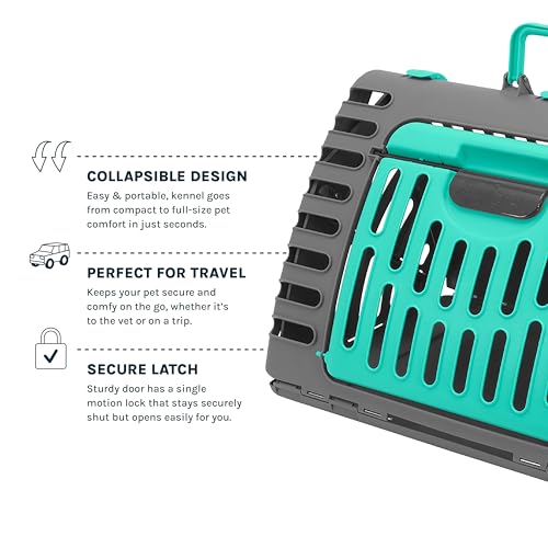 SportPet X-Large Hard-Sided Travel Cat Carrier - Cat Carrier with Patented Wide Side-Opening Door, Foldable Portable Pet C...