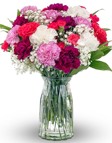 Benchmark Bouquets - Carnation Mix - Fresh Flowers for Delivery - Mothers Day Flowers - Get Well Gifts for Women - White, ...