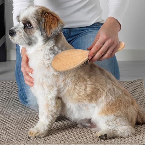 cobee Stainless Steel Pin Dog Brush, Bamboo Handle Grooming Brush 20mm Round Pins Airbag Pet Comb Professional Dog Pin Bru...