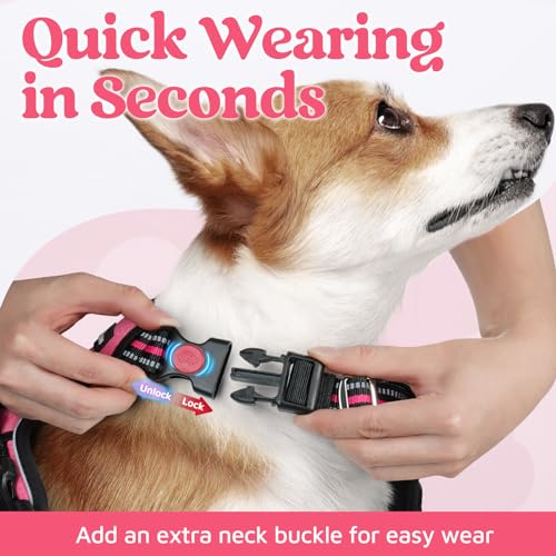 rabbitgoo Dog Harness for Large Dogs, No Pull Pet Vest with 3 Buckles, Adjustable Soft Padded Pet Harness with Easy Contro...