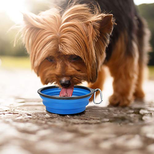 Kytely Large Collapsible Dog Bowls 2 Pack, 34oz Foldable Dog Travel Bowl, Portable Pet Water Food Bowl with Clasp, Pet Cat...