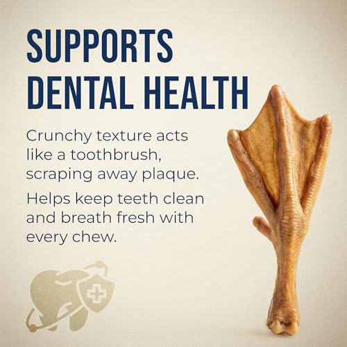 K9warehouse Duck Feet for Dogs – High Protein Dehydrated Dog Treats, Natural Crunchy Chews with Collagen, Glucosamine & Ch...