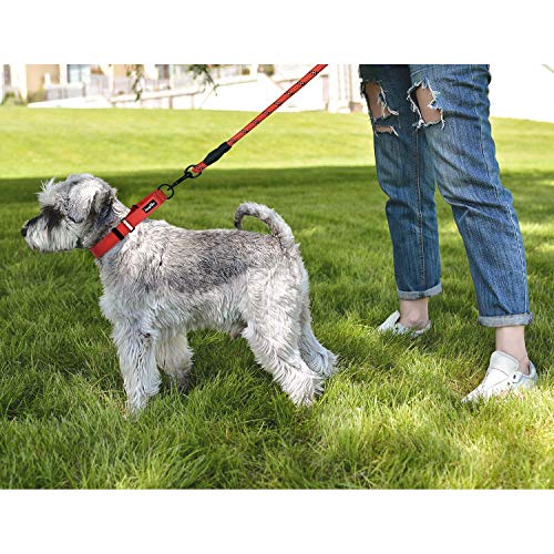 haapaw Martingale Dog Collar with Quick Release Buckle Reflective Dog Training Collars for Small Medium Large Dogs