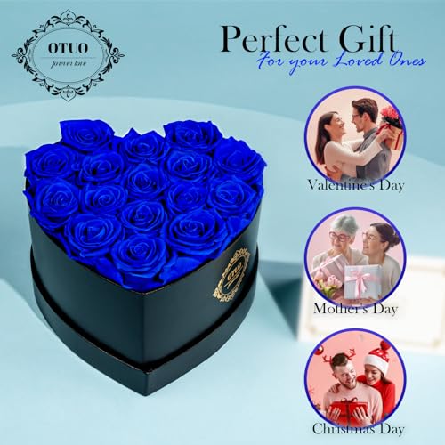 Otuo 16 Preserved Roses in Heart-Shaped Box, Flowers for Delivery Prime Last up 2 Years, Real Forever Flowers for Wife, Gi...