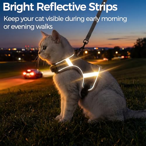 pangdi Cat Harness and Leash Escape Proof Kitten Harness Cat Leash for Walking Travel Service Cat Vest, Grey, X-Large