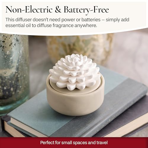 Airomé White Succulent, Porcelain Passive Essential Oil Diffuser (with 15ml Peppermint Essential Oil) – Non-Electric, Batt...