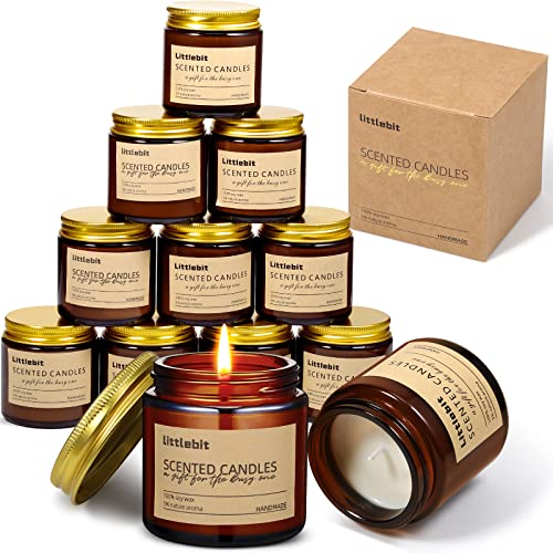 MTLEE 12 Pack Scented Candles for Home, Candles Gift Set Long Lasting Soy Candle Aromatherapy Jar Candle Bulk for Women Me...