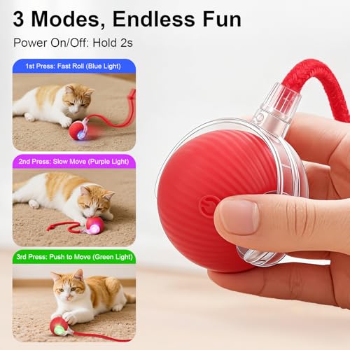 SilveWillo Interactive Electric Automatic Rolling Moving USB Rechargeable Self Activated Play Stimulation Toy Smart Chase ...