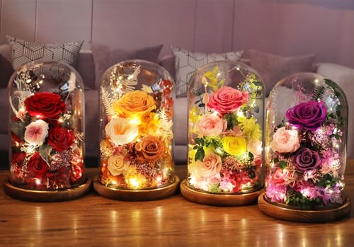 lovenfold Flowers for Delivery Preserved Flowers Rose in Glass Dome,Purple Rose Forever Flowers Birthday Gifts for Women M...
