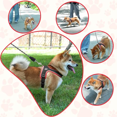 Dog Harness and Leash Set, No Pull Saddle Style Pet Harness, Breathable Mesh Adjustable Reflective Dog Vest for Dogs and C...