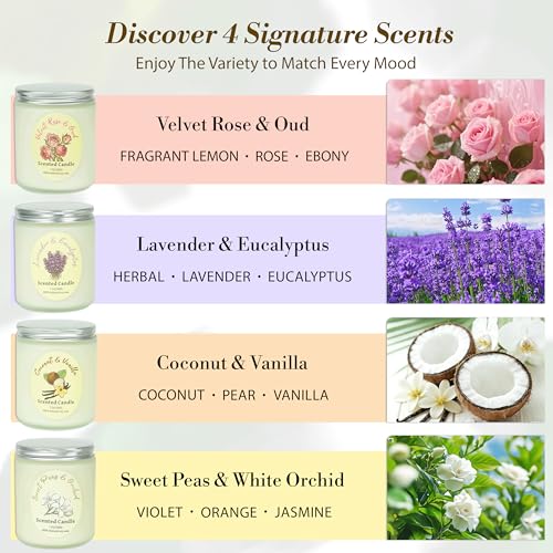 Scented Candles Gift Set 4 Pack, Soy Wax Aromatherapy Candles with Lavender Rose Coconut Vanilla, Long Lasting 200 Hours B...