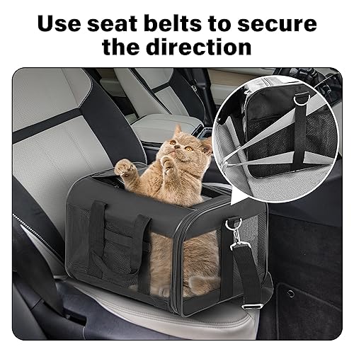 FluffyDream Pet Travel Carrier Soft Sided Portable Bag for Cats, Small Dogs, Kittens or Puppies 17 lbs Max, Collapsible, D...