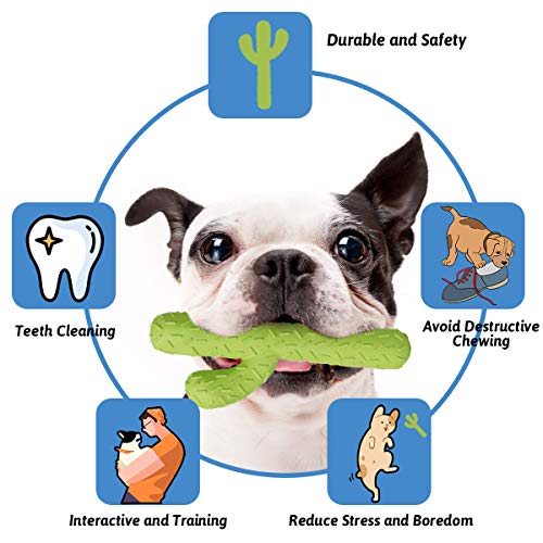 MewaJump Dog Chew Toys, Durable Rubber Dog Toys for Aggressive Chewers, Cactus Tough Toys for Training and Cleaning Teeth,...