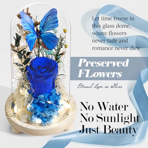 Forever Flowers Preserved Roses with Light in Glass Dome, Romantic Gifts for Mom Wife Girlfriend Grandma, Blue Flower for ...